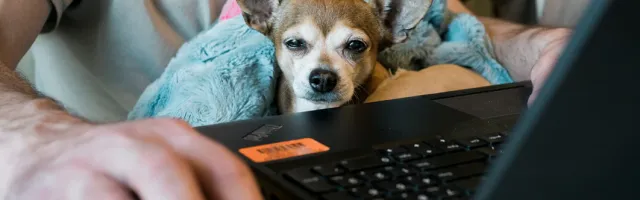 Os Produtos Mais Vendidos da Quarentena