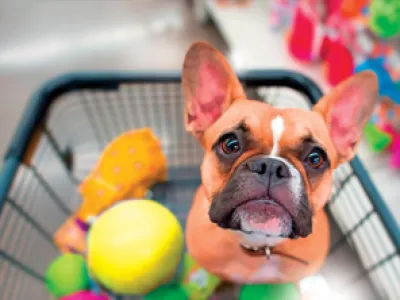 Faça seu pet feliz com os melhores produtos da Cobasi