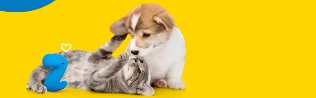 Com a Petz o seu bichinho de estimação é muito bem cuidado!