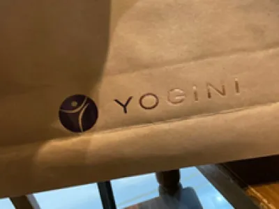 Tenha Uma Vida Mais Equilibrada Com o Yoga e a Yogini