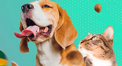 Cobasi -  5% Cashback