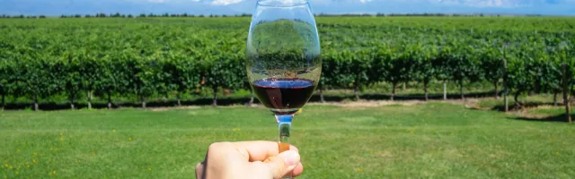 Singles’ Day - Aproveite para Mimar-se com Uma Viagem à Capital do Sol e do Bom Vinho da Argentina